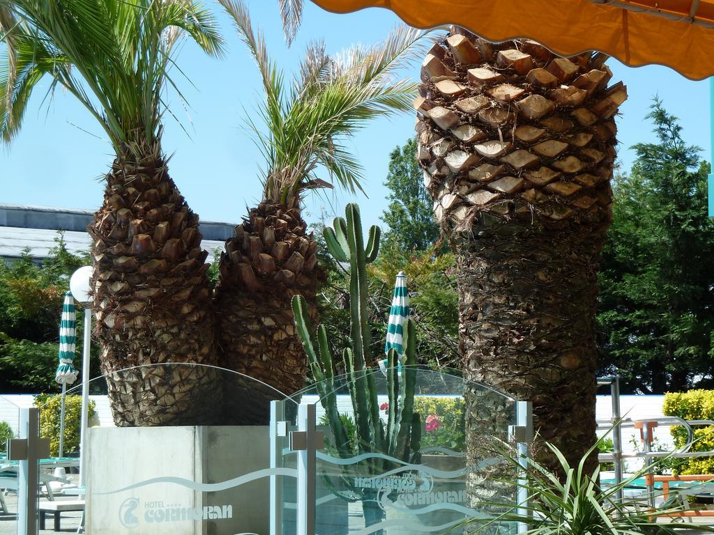 Hotel Cormoran Cattolica Exterior photo